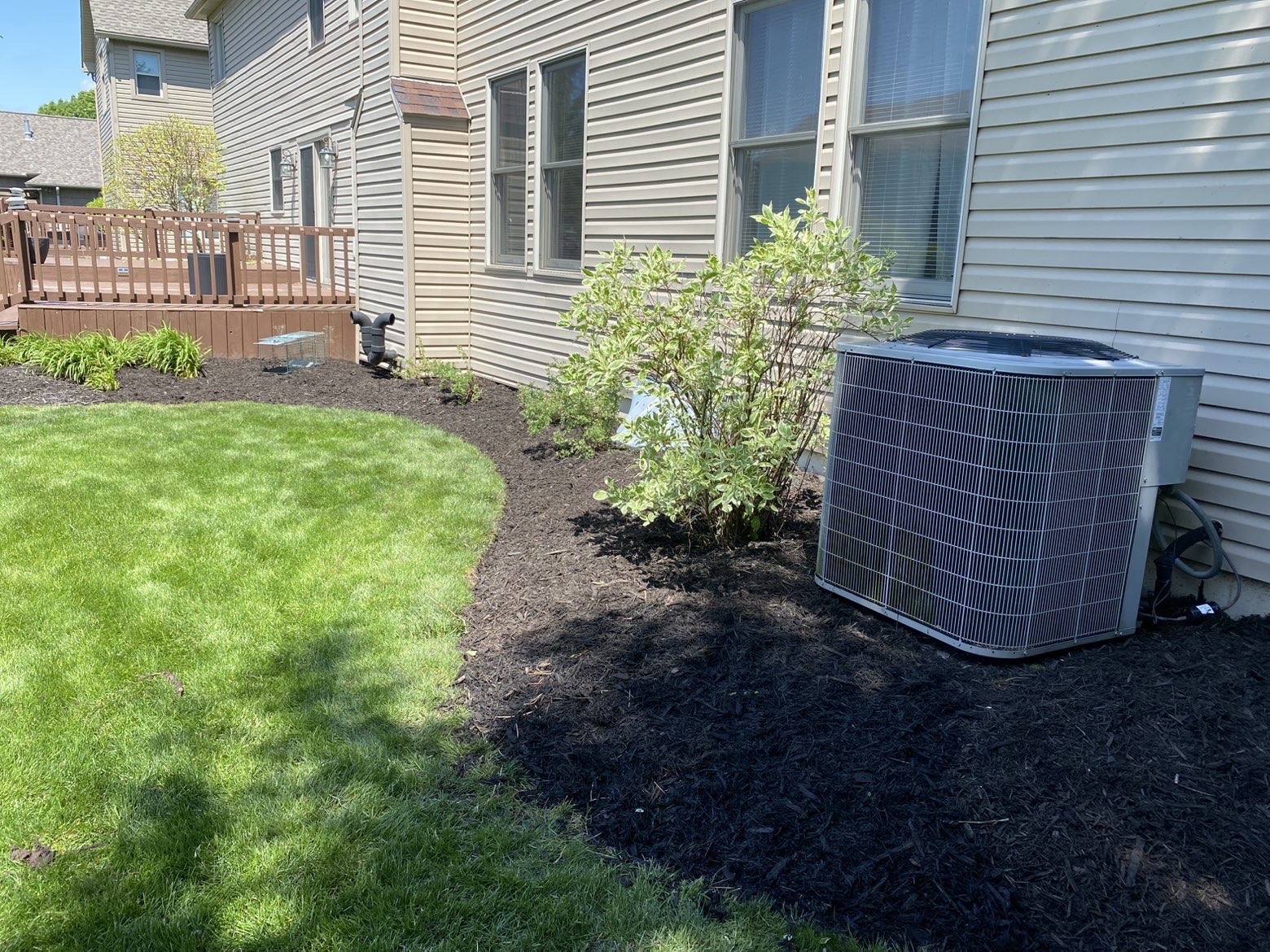 Fresh mulch bed with shrubs and clean edging