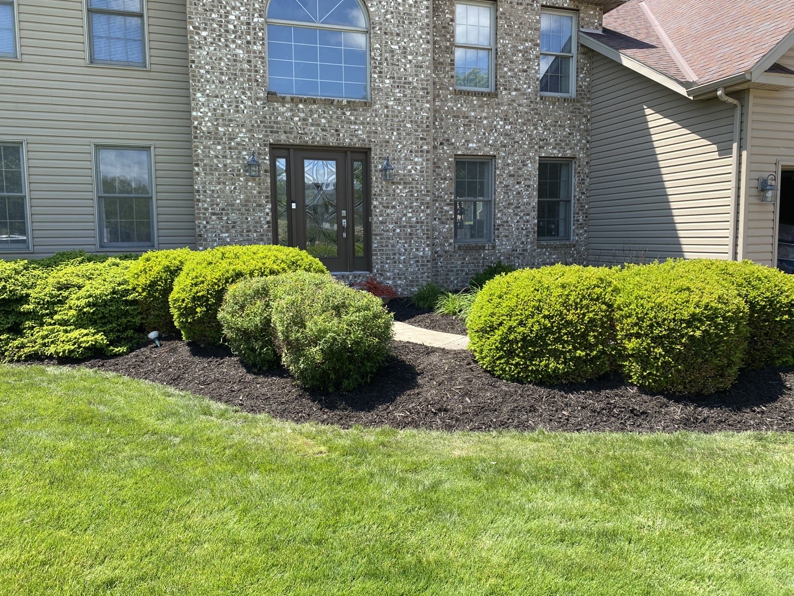 Manicured front yard with rounded shrubs and fresh mulch