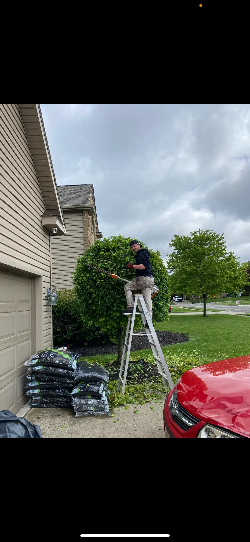 Shrub trimming